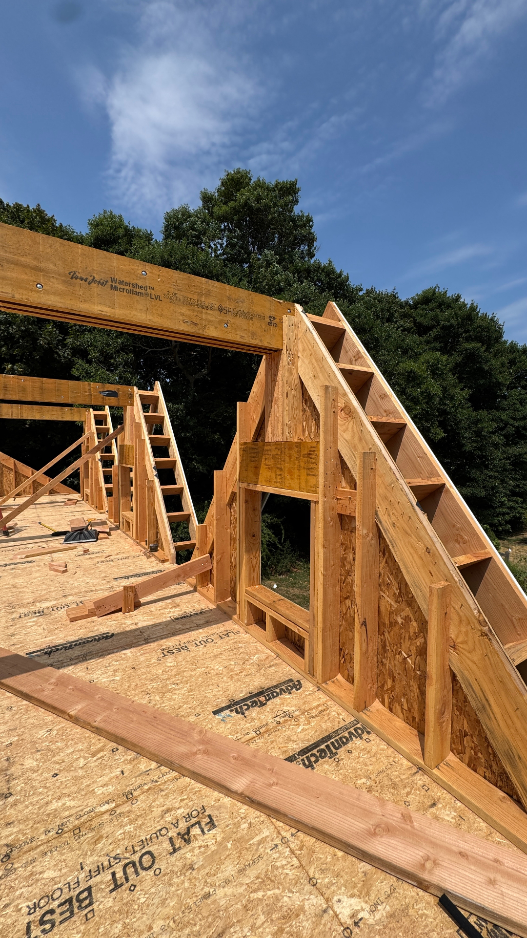 Rafters and gable-end wall framing rising above the subfloor, with a clear blue sky and mature trees in the background.