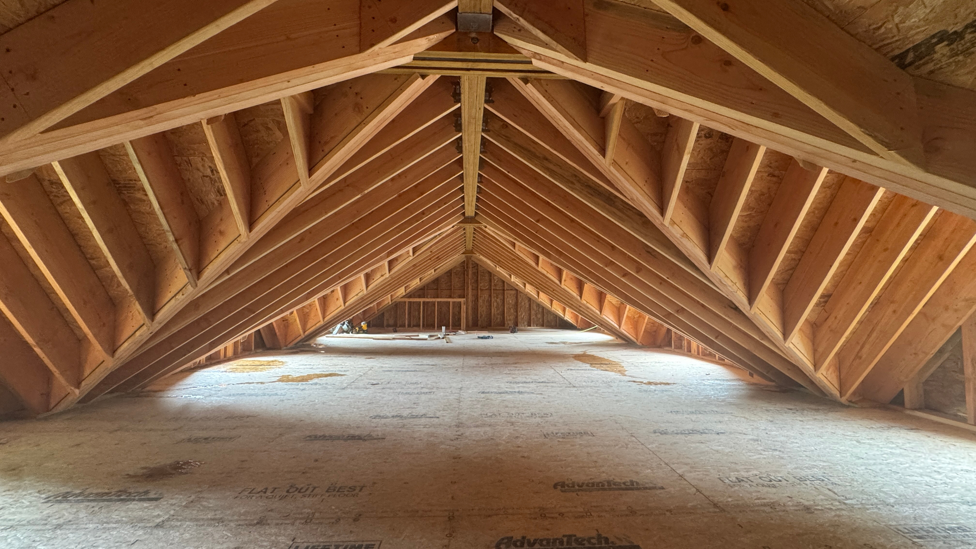 dB Architecture — interior framing detail